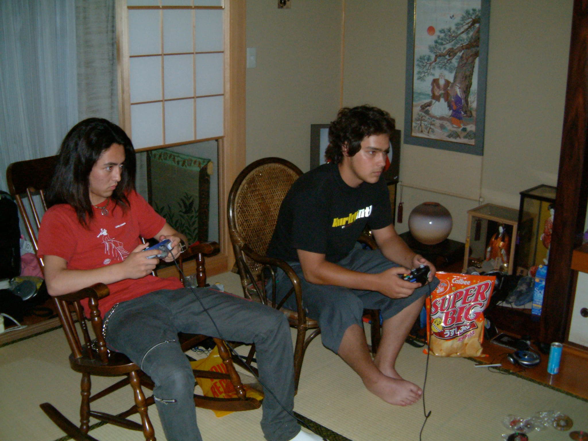 Two friends playing video games in a living room